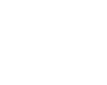 Moorlogowit